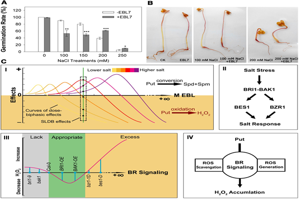 b9dd57a78a134b53a15775b52039369b.png image.png
