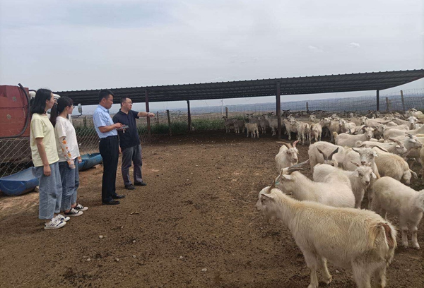 9ba85e45e3054992803b830f02aac0b5.jpg 微信图片_20200711123018_副本.jpg