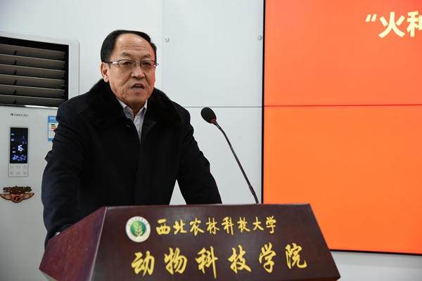 d54f0bcc52504ffc9153641279299a7b.jpg 2.jpg