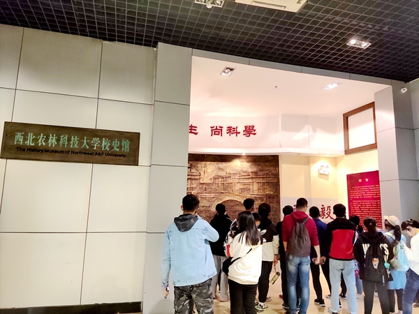 78a1353ee7d14d618b87ccf79e7b5f96.jpg 1603076570093(1).jpg