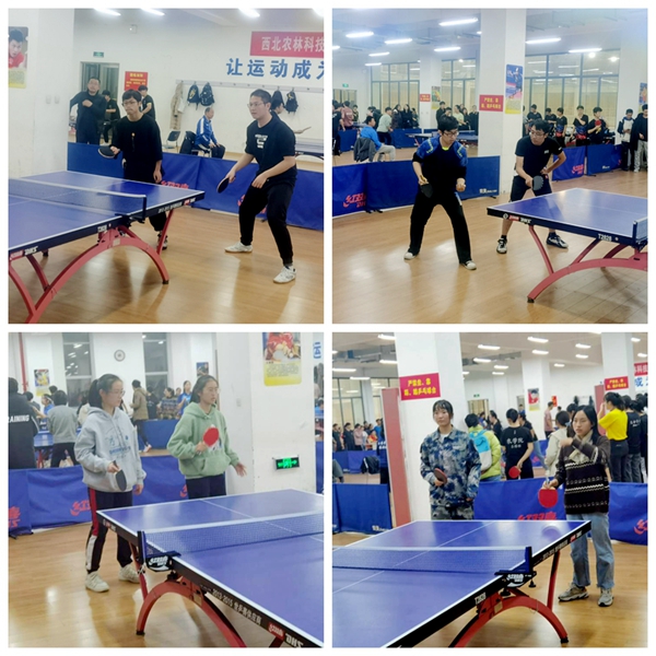 94470fc6a48a47feb8ea1bac7d373d09.jpg NeoImage_副本.jpg