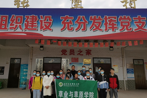 4c2d0b8ae3ef46b6883d185126d810bd.png 图片2_副本.png