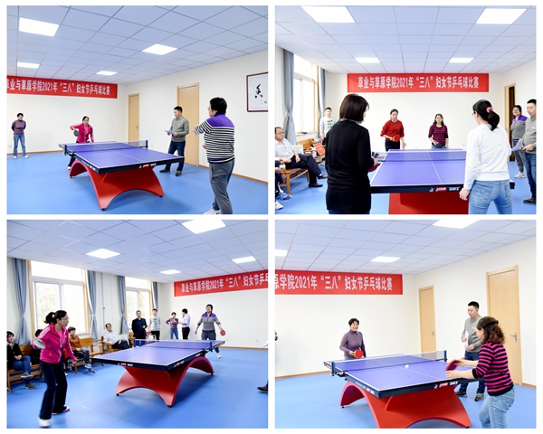 d8b12e5ff41f4f04aab61bb9d27c1c9f.jpg 比赛现场.jpg