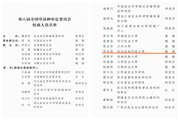 9c8cca00e3954227ba7ad21b4df3071a.png 1_副本.png