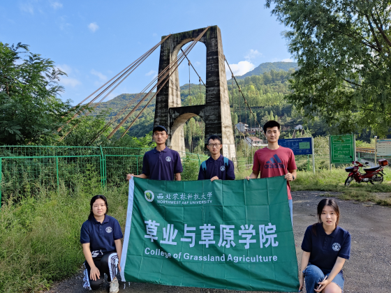 337acb95ee6b488caf6b6d48619a8f37.png 调研小队合照.png