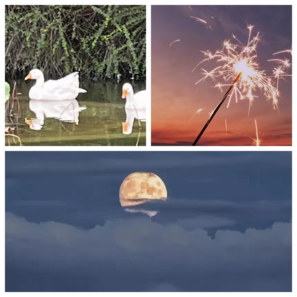 bb7cebb286e04499934274da4b5e511f.jpg 27.jpg