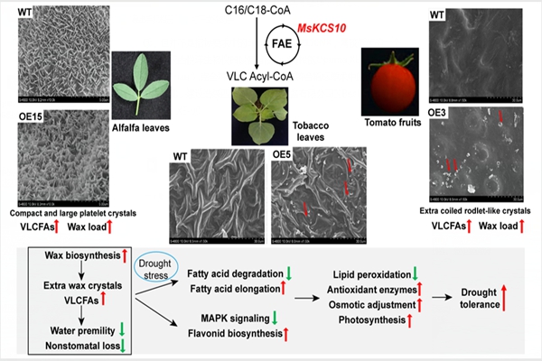 18d4993309af44a582cbdadaa0f1acea.jpg 未命名_副本.jpg